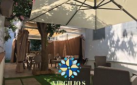 Virgilio’s Garden